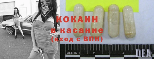 трава Карпинск