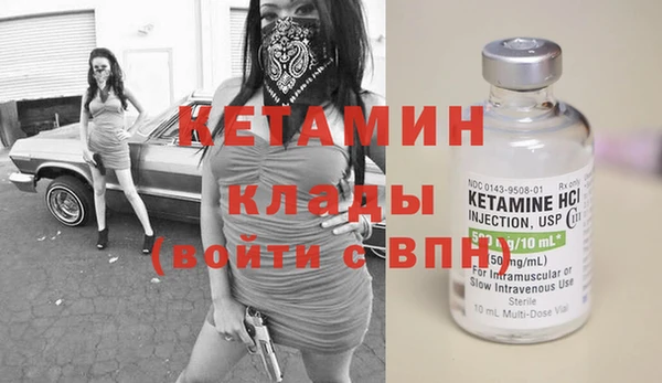 трава Карпинск