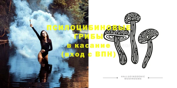 трава Карпинск